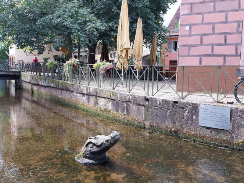 Freiburg: Walking and Strolling the Historic Center - Who Will Love This Tour?