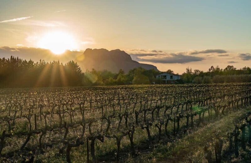 Fréjus: Cave tour and wine tasting - Key Points