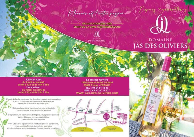 Fréjus: Cave tour and wine tasting - The Sum Up