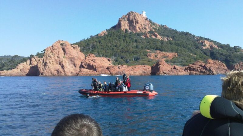 Fréjus: Diving Experience in Port-Fréjus with an Instructor - Who Would Enjoy This Experience?