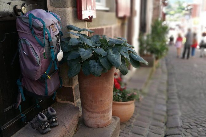 French Basque Countryside Private tour - A Closer Look at What You Can Expect