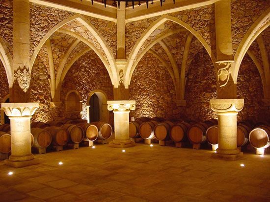 French Riviera: Provencal Wine Tour - French Riviera: Provencal Wine Tour — A Deep Dive into the Heart of Wine and Culture