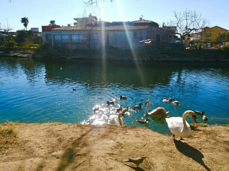 French Riviera's Jewels - E-Bike Tour Antibes - Saint-Paul - Discovering the French Riviera on Two Wheels