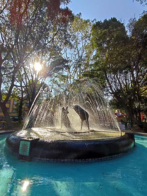 Frida Kahlo Museum Entry Ticket - Key Points