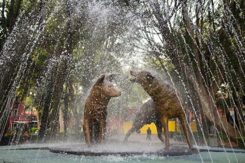 Frida Kahlo Museum Entry Ticket - Final Thoughts