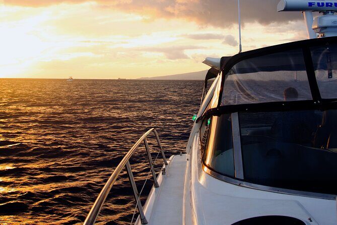 Friday Fireworks Cruise in Oahu, Hawaii - Unpacking the Experience