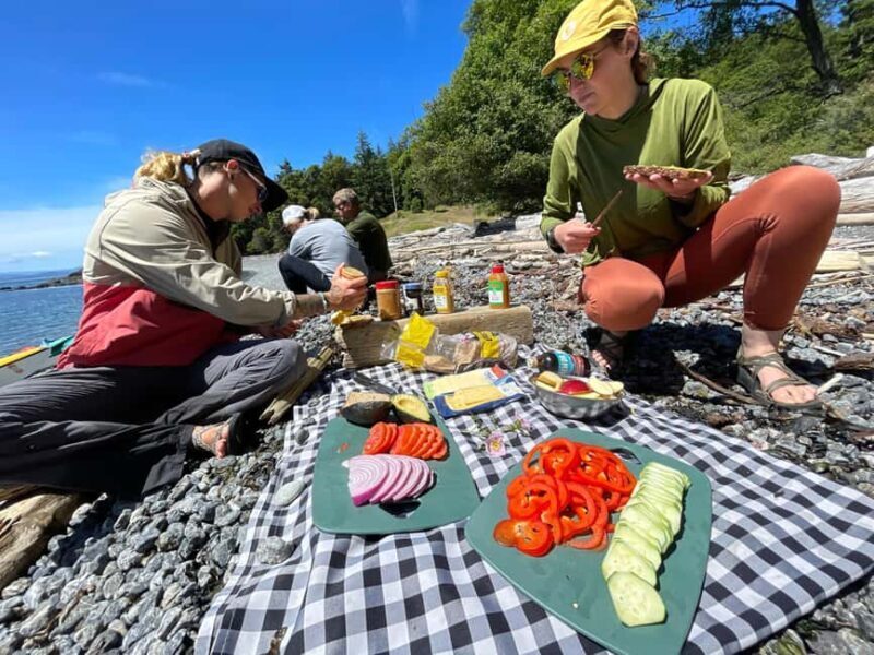 Friday Harbor: Half-Day Family Kayaking and Hiking Tour - What We Loved About This Tour