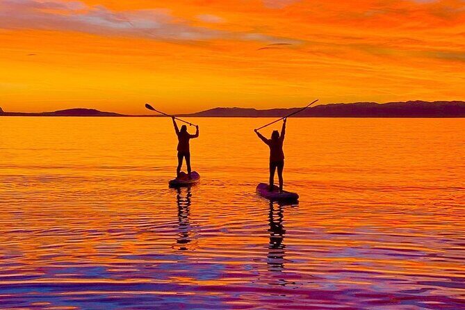 Friday Nights Pints and Paddle Party in Fort Lauderdale - What Travelers Can Expect