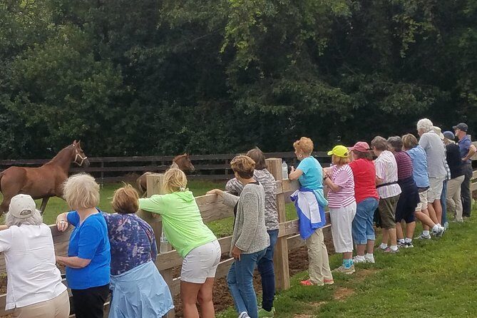 Friesian Herd Tours, Workshops, Classes and Retreats in the Kettle Moraine area. - Introducing the Friesian Herd Tours Experience