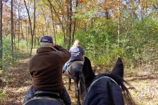 Friesian Herd Tours, Workshops, Classes and Retreats in the Kettle Moraine area. - Pricing and Value