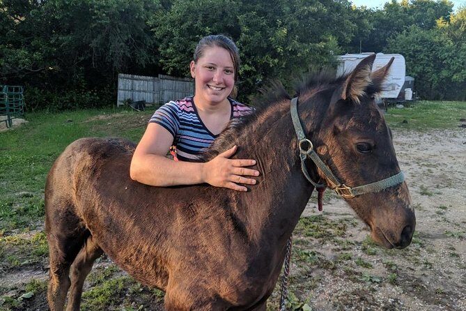 Friesian Herd Tours, Workshops, Classes and Retreats in the Kettle Moraine area. - Practical Details for the Traveler