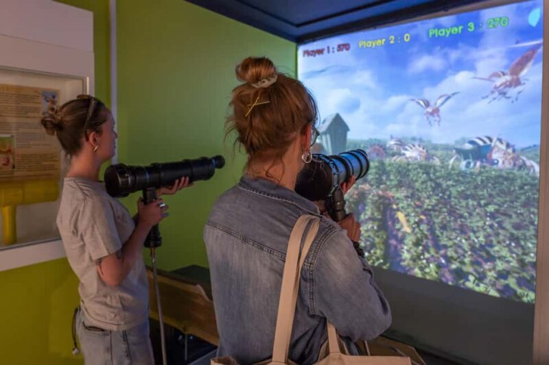 Frietmuseum Brussels: Entry to the fries museum with a tasty treat - Final Thoughts