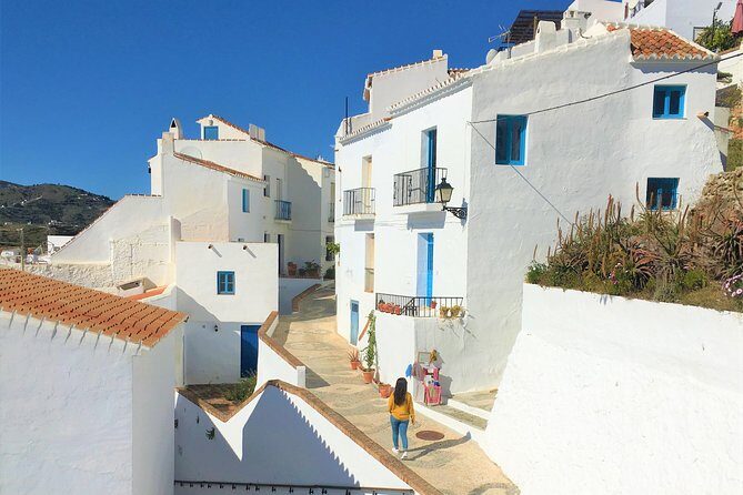 Frigiliana Small-Group Hike and Wine Tasting Tour from Malaga - The Sum Up