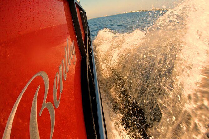 Frisky Mermaid Pontoon Boat Rentals in Pensacola Beach - The Experience in Action – What Travelers Say