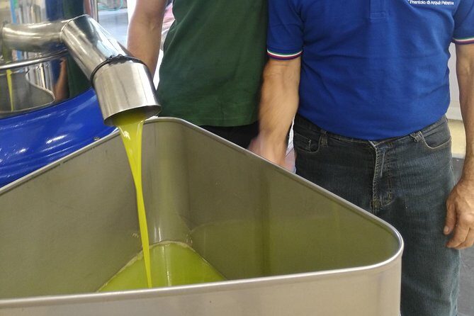 From Abano Montegrotto Tour to Arquà Petrarca medieval village - Who Is This Tour Best For?