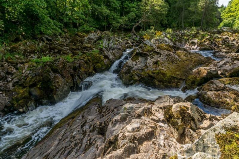 From Aberdeen: Balmoral and Royal Deeside Shore Excursion - Key Points