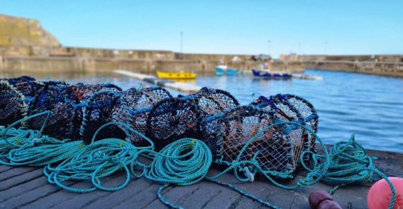 From Aberdeen: Coastal Villages of Aberdeenshire Tour - Exploring the Coastal Villages of Aberdeenshire: A Friendly Guide