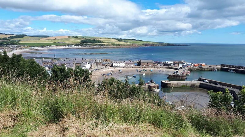 From Aberdeen: Guided Day Trip, Coast & Castle Visit - The Value of This Tour