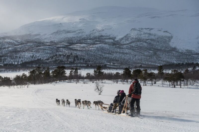 From Abisko: Dog Sledding Excursion to Kiruna with Fika - The Itinerary: What to Expect from This Dog Sledding Day