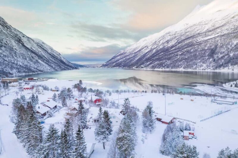 From Abisko: Narvik City and Fjord Day Trip - An In-Depth Look at the Narvik Day Trip