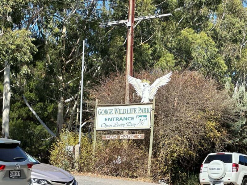 From Adelaide: Cuddle a Koala and Historic Hahndorf Tour - FAQ