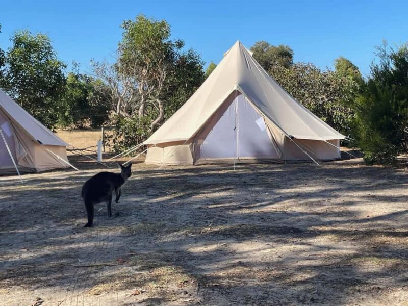 From Adelaide: Kangaroo Island Epic 2-Day Small Group Tour - A Closer Look at the Itinerary