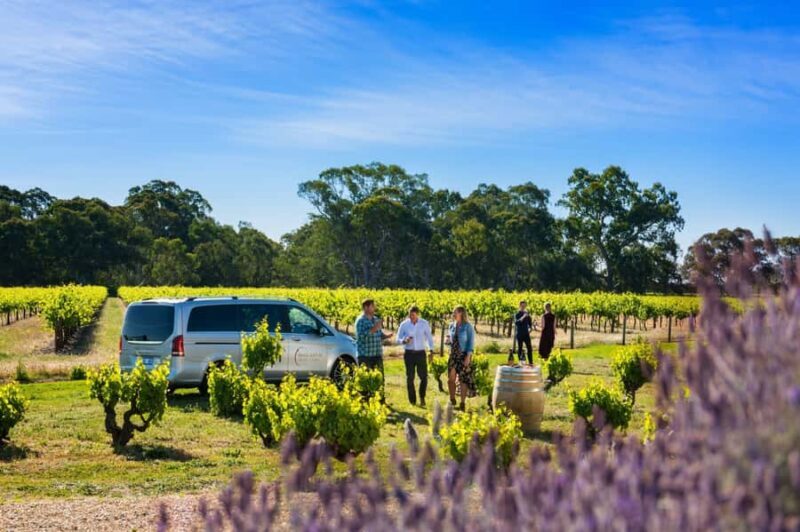 From Adelaide or Barossa: Boutique Barossa Valley Wine Tour - Who Is This Tour Best Suited For?
