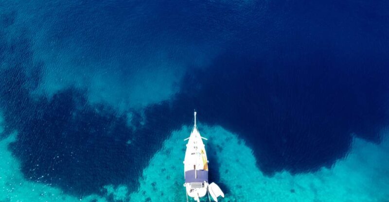 From Agia Efimia: All Inclusive Sailing Day Trip to Ithaca - Final Thoughts: Who Is This Tour Best For?