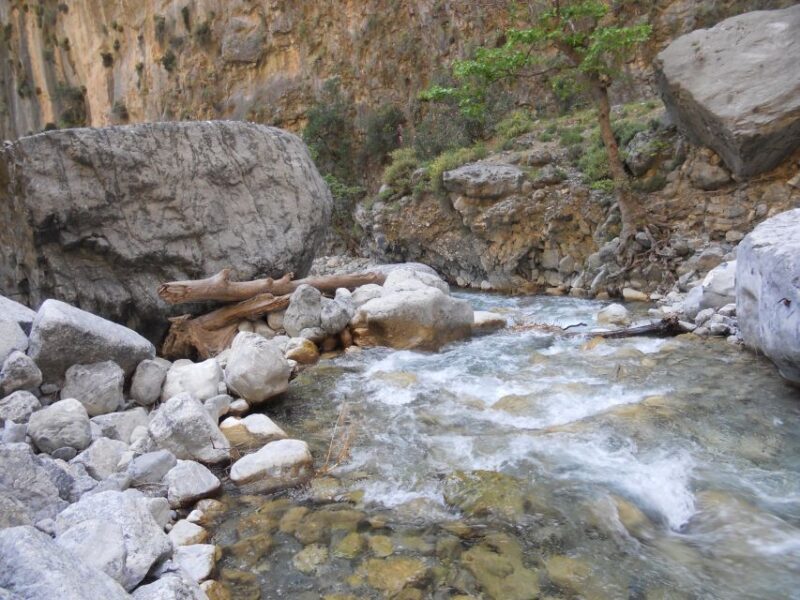From Agia Galini/Matala: Samaria Gorge Hiking Tour - What Is This Tour Really Like?