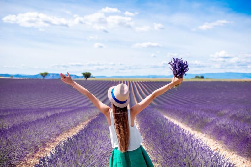 From Aix: Day Trip to Valensole Lavender Fields in Provence - Wrapping Up