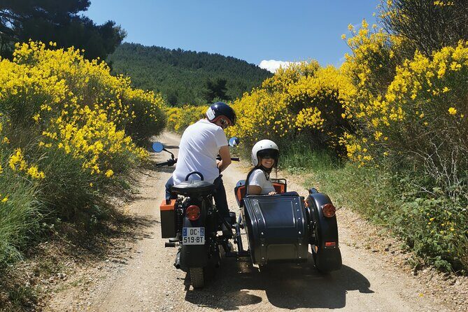 From Aix-en-Provence: 1-Hour Scenic Sidecar Tour on Cézanne Road - The Real-World Feedback