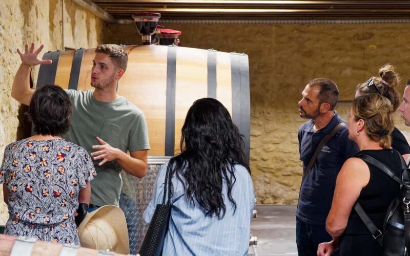 From Aix-en-Provence: Côtes de Provence Wine Tour - The Experience in Detail