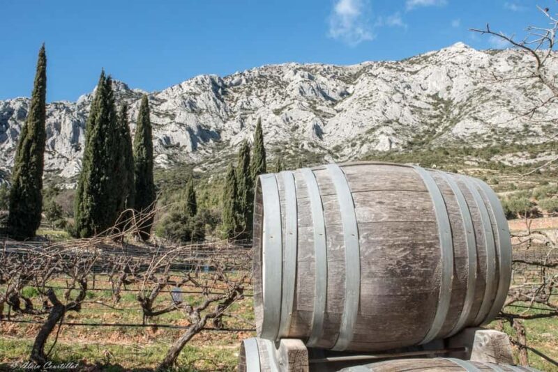 From Aix-en-Provence : Half-day Sidecar Wine Tour - The Practicalities and What You’ll Love