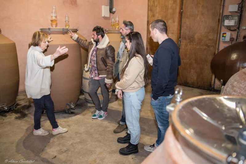 From Aix-en-Provence : Half-day Sidecar Wine Tour - The Real Deal: Pros and Cons