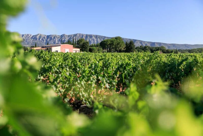 From Aix en Provence: Half-day Wine Tour in Provence - Value for Money