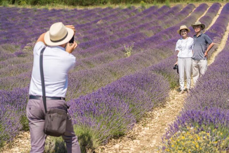 From Aix-en-Provence: Lavender Half Day Tour - Wrapping Up