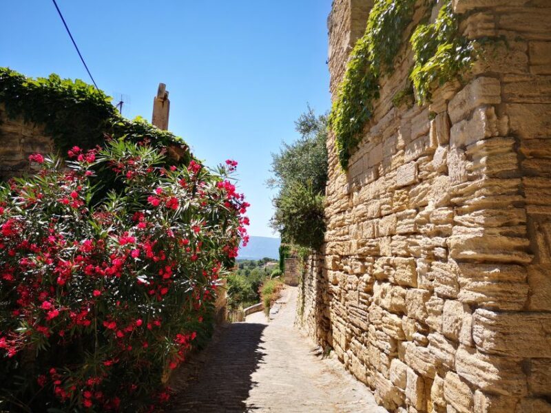From Aix en Provence: Luberon Villages Full-Day Guided Tour - Who Will Love This Tour?