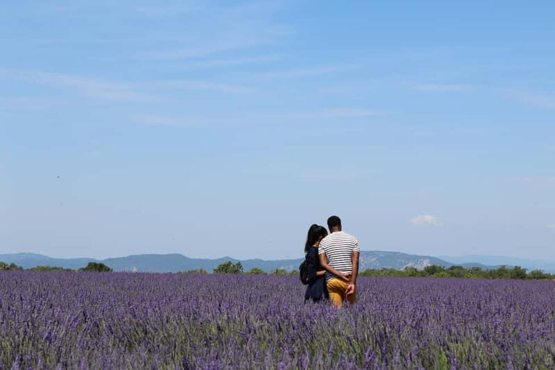 From Aix-en-Provence : Sunset Lavender Tour in Valensole - Key Points