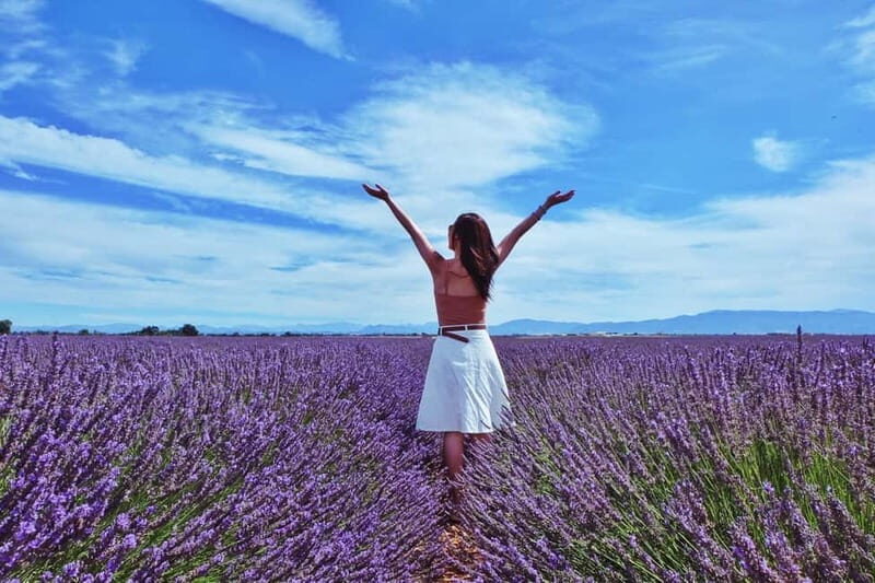 From Aix-en-Provence : Sunset Lavender Tour in Valensole - Final Thoughts