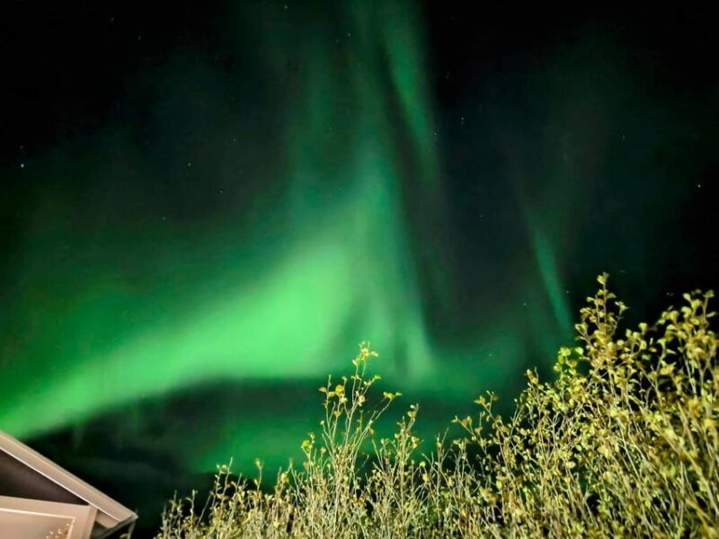 From Akureyri: Northern Lights Tour - The Sum Up: Is This Tour Right for You?
