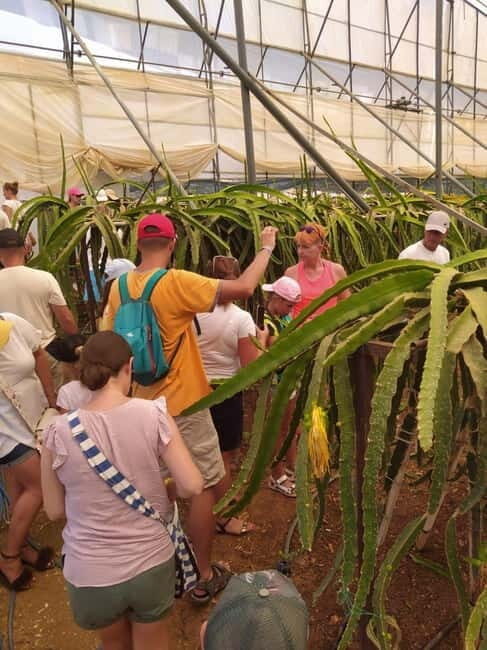 From Alanya: Gazipa Hole Sea and King's Bay Tour - Who Is This Tour Best For?