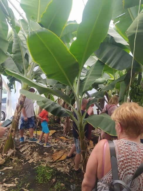 From Alanya: Gazipa Hole Sea and King's Bay Tour - Final Thoughts