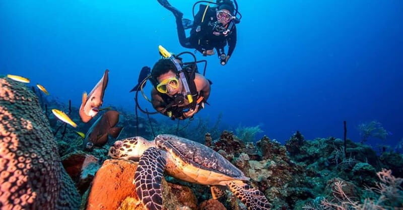 From Alanya: Scuba Diving Tour with Hotel Transfers - The Underwater Experience