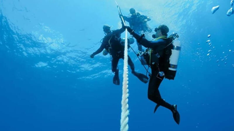 From Alanya: Scuba Diving Tour with Hotel Transfers - The Logistics: Timing, Group Size, and Cost