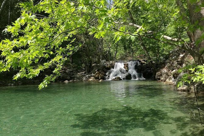 From Alanya & Side: Sapadere Canyon Tour - How does the itinerary unfold?