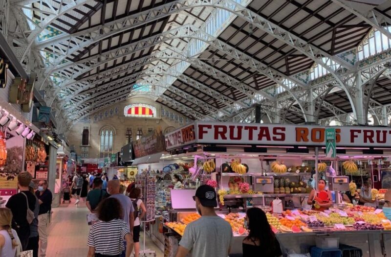 From Albir, Altea, Benidorm & Calpe: Valencia City Excursion - Practical Considerations