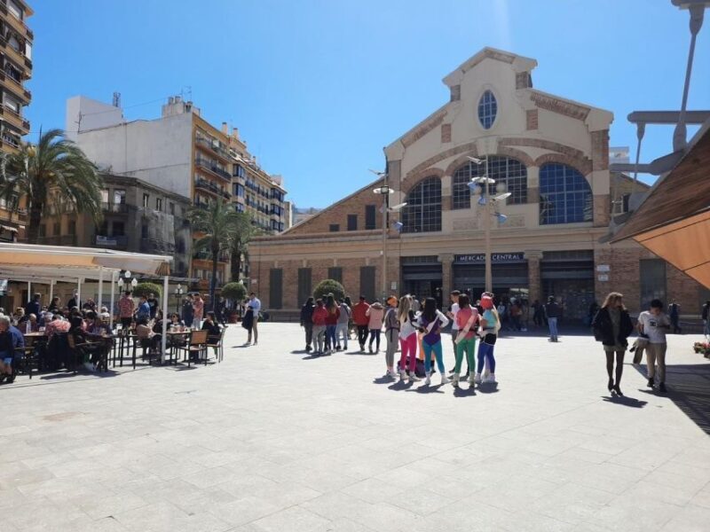 From Albir and Benidorm: Day Trip to Alicante by Coach - Real Traveler Insights