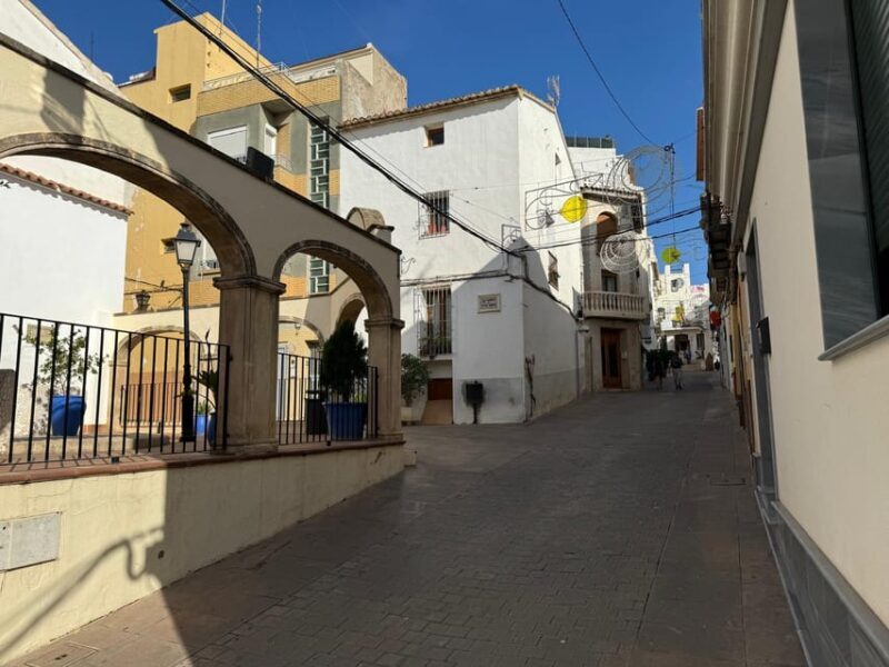 From Albir & Benidorm: Calpe Old Town and Port Day Trip - Final Thoughts