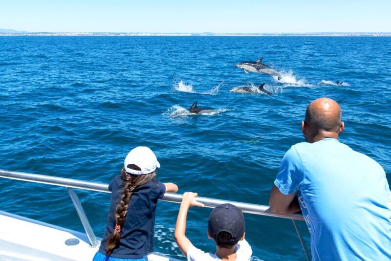From Albufeira: Dolphins and Caves 2.5-Hour Boat Trip - FAQ