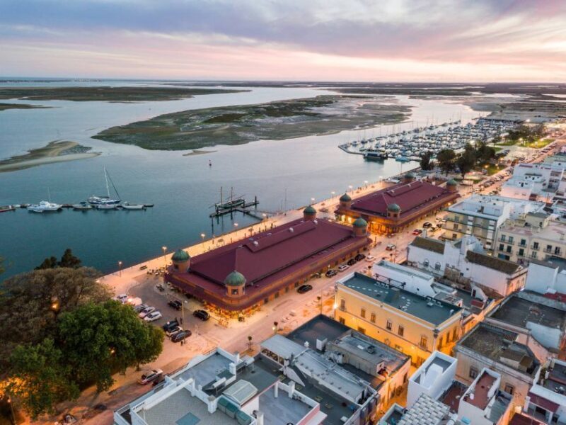 From Albufeira: Eastern Algarve Full-Day Private Tour - A Deep Dive into the Tour Experience